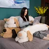 Lovely Soft Down Cotton Dog Plush Pillow Doll Stuffed Pet Doll Baby Sleep Pillow Accompany Gift for Girlfriend 2