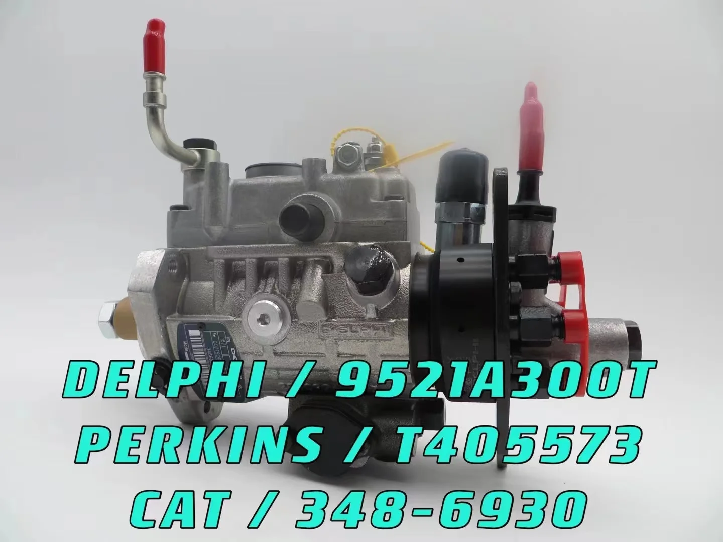 

Genuine Brand New Diesel Fuel Pump 9521A300T, 348-6930, T405573