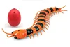 Electronic pet Remote Control simulation Giant IR RC Scolopendra centipede Tricky Prank Scary robotic insect Toy adult kids gift 1