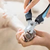 Professional Pet Dog Cat Nail Clippers with Safety Guard Stainless Steel Scissors Nail Plier for Pet Claw Care Grooming Supplies 3
