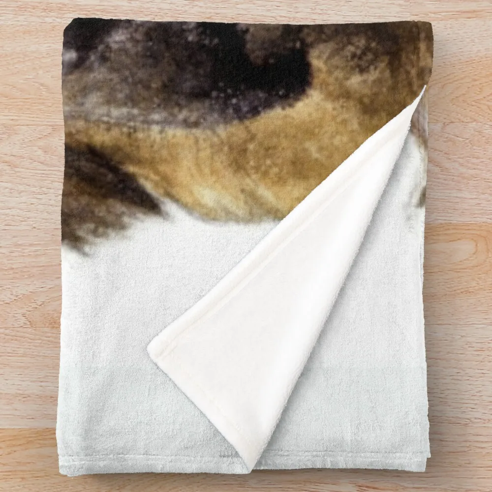 �� ǰ�� ��������, �׸� üũ ���� �ö��� ��ȭ �ö��� ������ ���