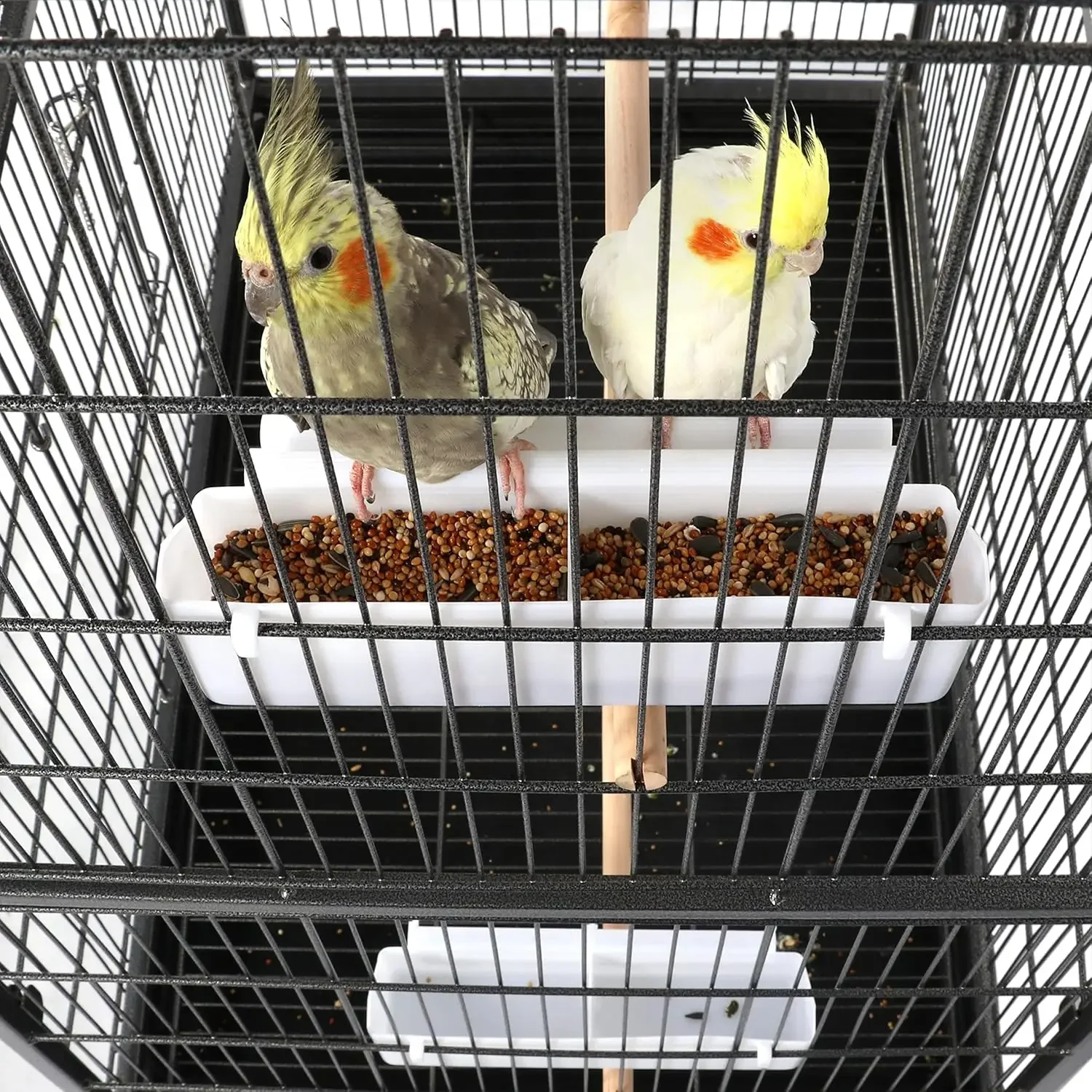 Topeakmart X-Large Parrot Cage Bird Cage with Rolling Stand Medium Birds Cockatiels Quaker Green Cheek Sun Conure African Grey 6