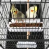 Topeakmart X-Large Parrot Cage Bird Cage with Rolling Stand Medium Birds Cockatiels Quaker Green Cheek Sun Conure African Grey 6