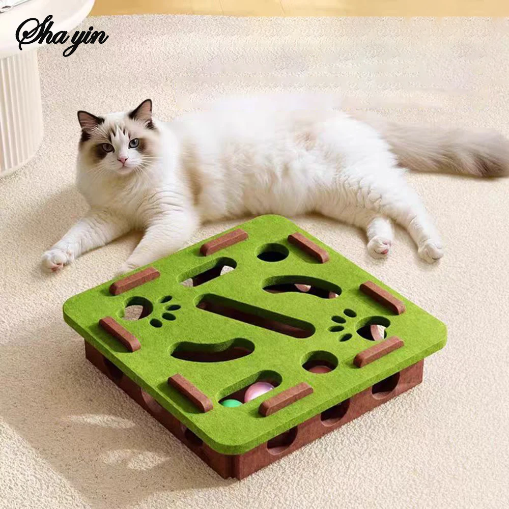 Puzzle Cat Toy 2