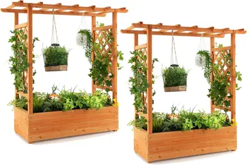 Raised Garden Bed with Arch Trellis 1