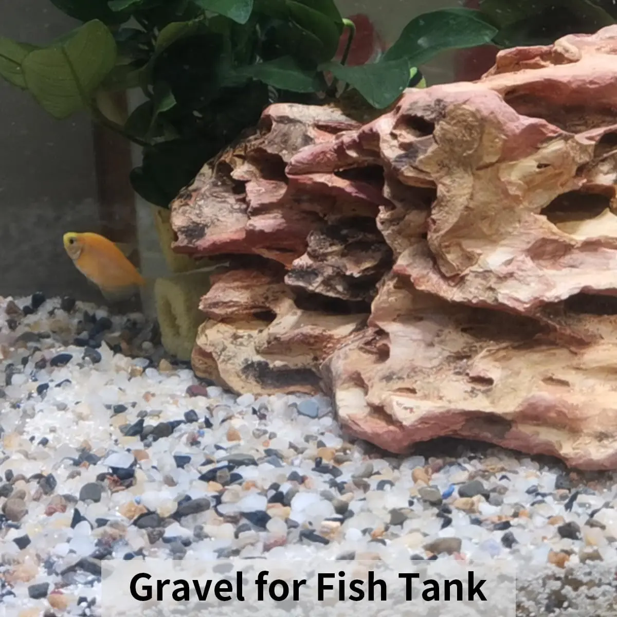 玻璃砂 ガラス砂 小石 装飾用 庭 石 岩 水槽 アクアリウム 砂利 Amazon.co.jp: 玻璃砂 ガラス砂 小石 装飾用 庭 石 岩 水槽