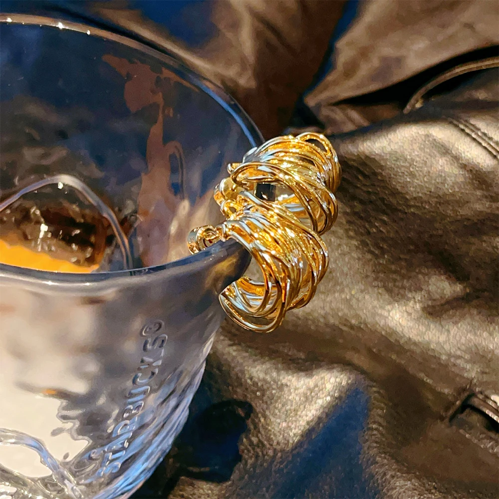 Báthory Elizabeth 2023 French Designer Personality Exaggerated Irregular 24K Gold Twisted Earrings Women Luxury Jewelry Party