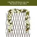 69 white
