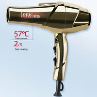 Professional Hair Dryer 2200W Powerful Wind 6 Gears Low Noise Blower High Speeds Strong Winds Negative Ions Blow Dryer for Salon 2