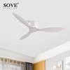 Modern Led Ceiling Fan Without Lights DC Motor 6 Speeds Timing Fans 17CM Low Floor Loft Remote Control Decorative Fan With Light 1