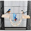 Bird Toy Hamster Toy Little Pet Springboard Combination Toy Parrot Climbing Ladder Springboard Ladder Swing Parrot Toys 3