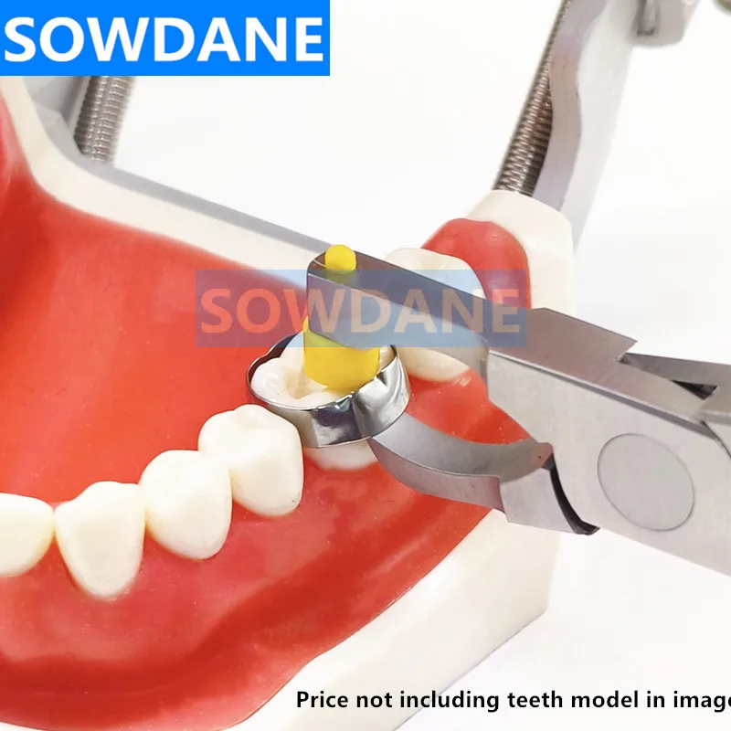 Pinza Per Pinze A Pinza In Gomma Endodontica E Tipo Brewer Strumenti Chirurgici - Foto 5