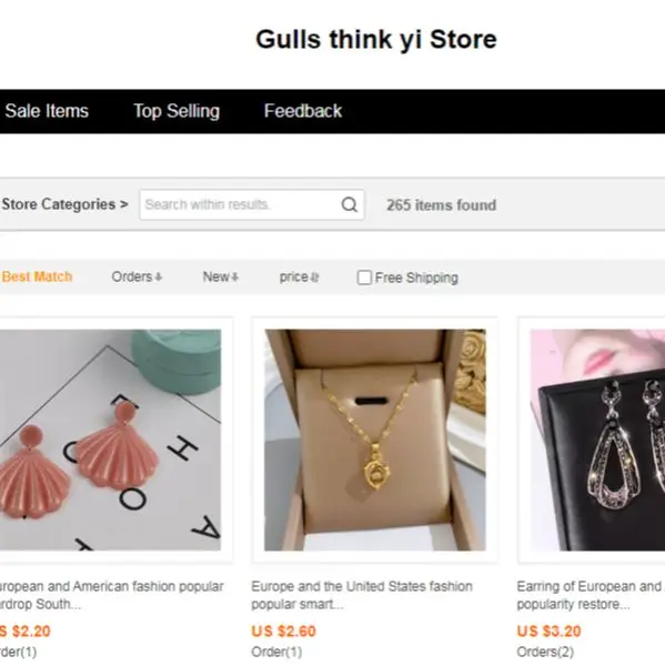 Gulls think yi Store