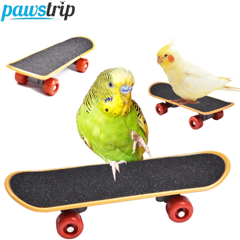 Mini Parrot Training Skateboard Creative Parrot Balance Toy Small Medium Birds Interactive Intelligence Training Toy parrot toy bird toy
