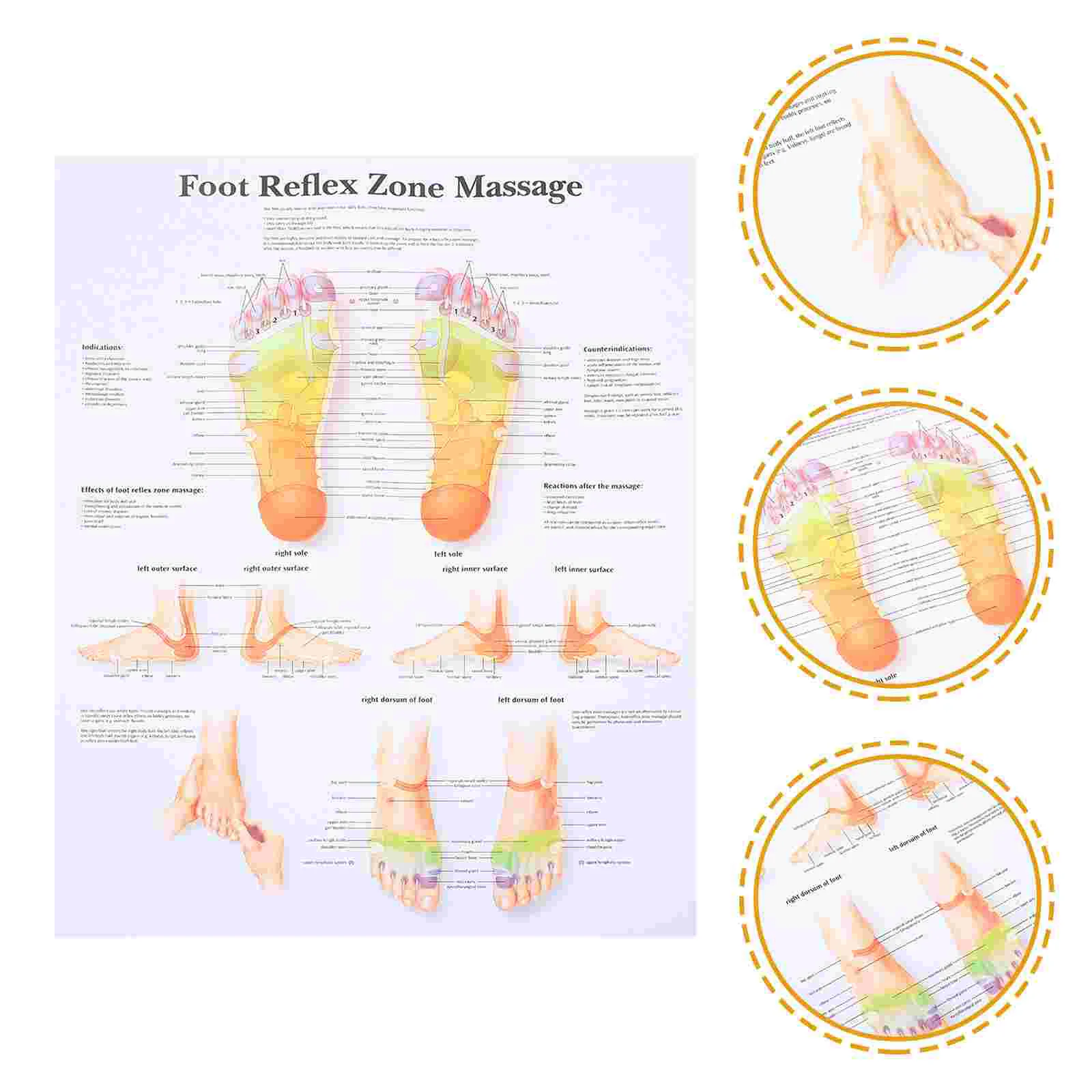 

Foot Reflexology Poster Wall Decor Home Decorative Paintings Chart Canvas Massage for Professionals