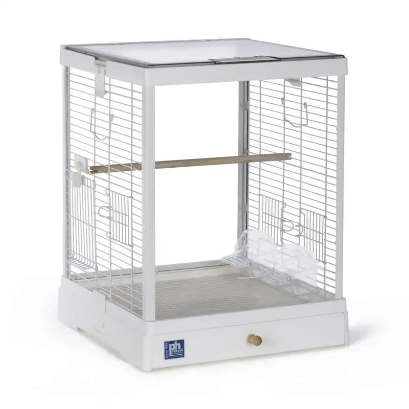 

Clear Glass Bird Cage with White Frame