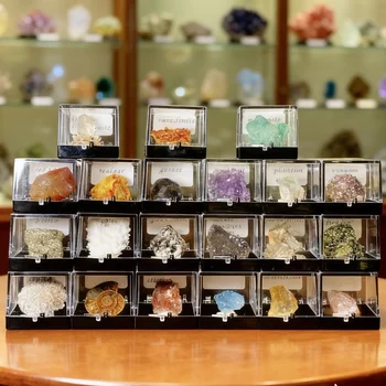 1PC Specimen Box of Crystal Original Stone Minerals, Mineral Specimen Collection Display Box Office Decoration Gift 1