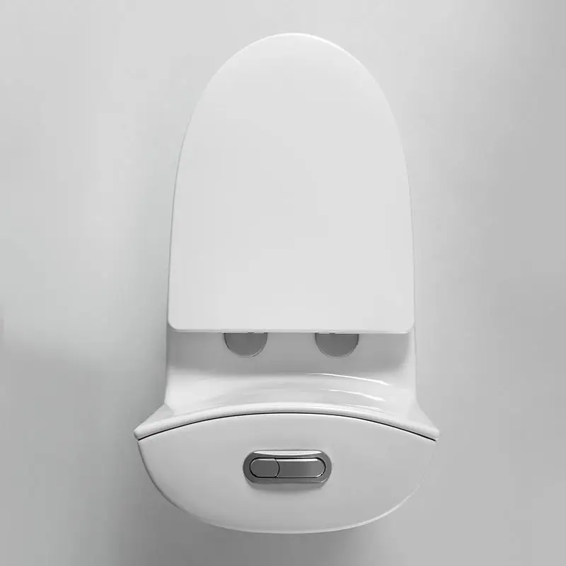 Modern Hotel Design Washdown One-Piece WC Toilets Ceramic Floor Mounted Bathroom Toilet