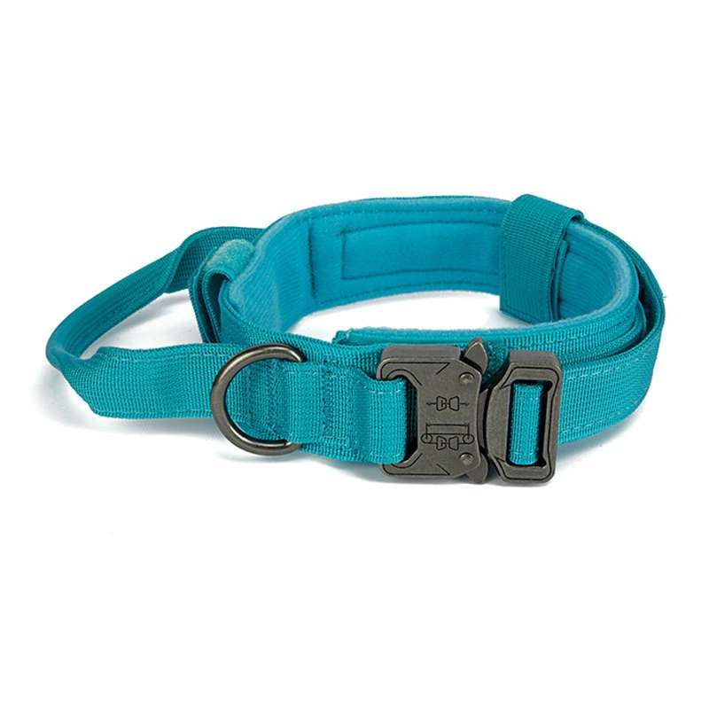 Dark Blue collar