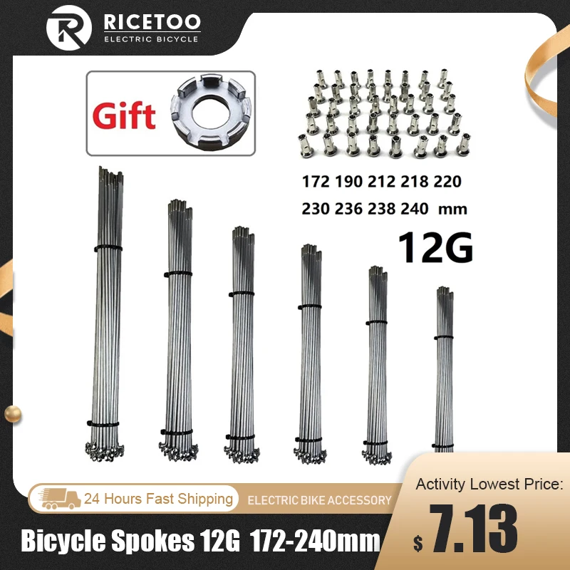Electric Bike Spokes 12G 172mm-240mm 16/20/24/26/27.5/28/29 Inch700C Bicycle Accessories bicycle parts,bike accessories,bicycle spokes