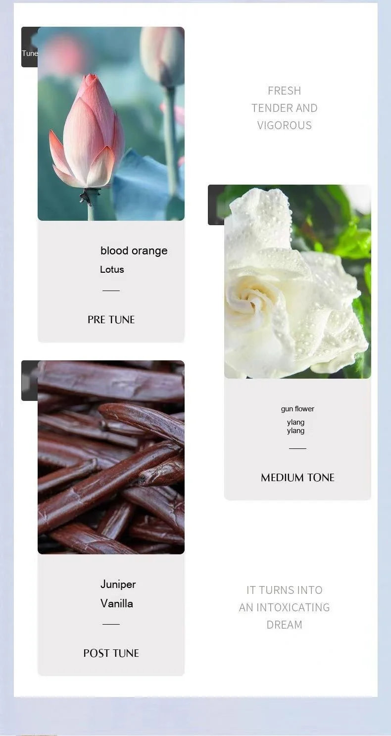 Parfum d’ours pour dames, parfum durable, parfum populaire, parfum de fleurs et de fruits, parfum, spray, parfum étudiant_voghion.com