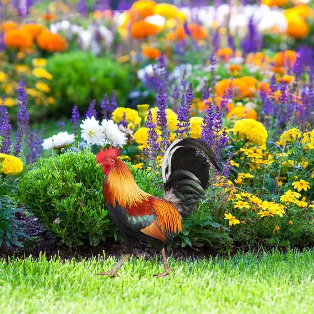 Kakas Kerti Dekoráció Farm Szimuláció Csirke Kacsa Madarak Tyúk Figurák Modell Bonsai Dekorációhoz - Image 5