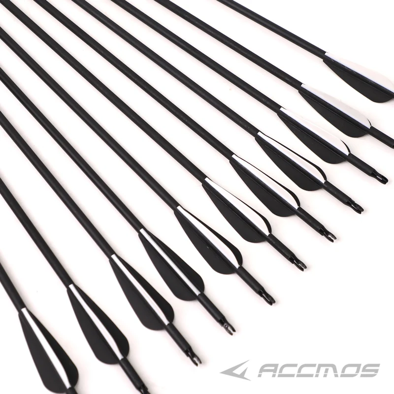 Arco E Frecce Per Bambini 8 Anni In Fibra Di Vetro Giocattolo 704850086 - Foto 8