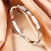 Popular Egg Shaped Zircon Inlaid Stainless Steel Women's Bracelet With Buckle Fashion Party Hand Accessories 4