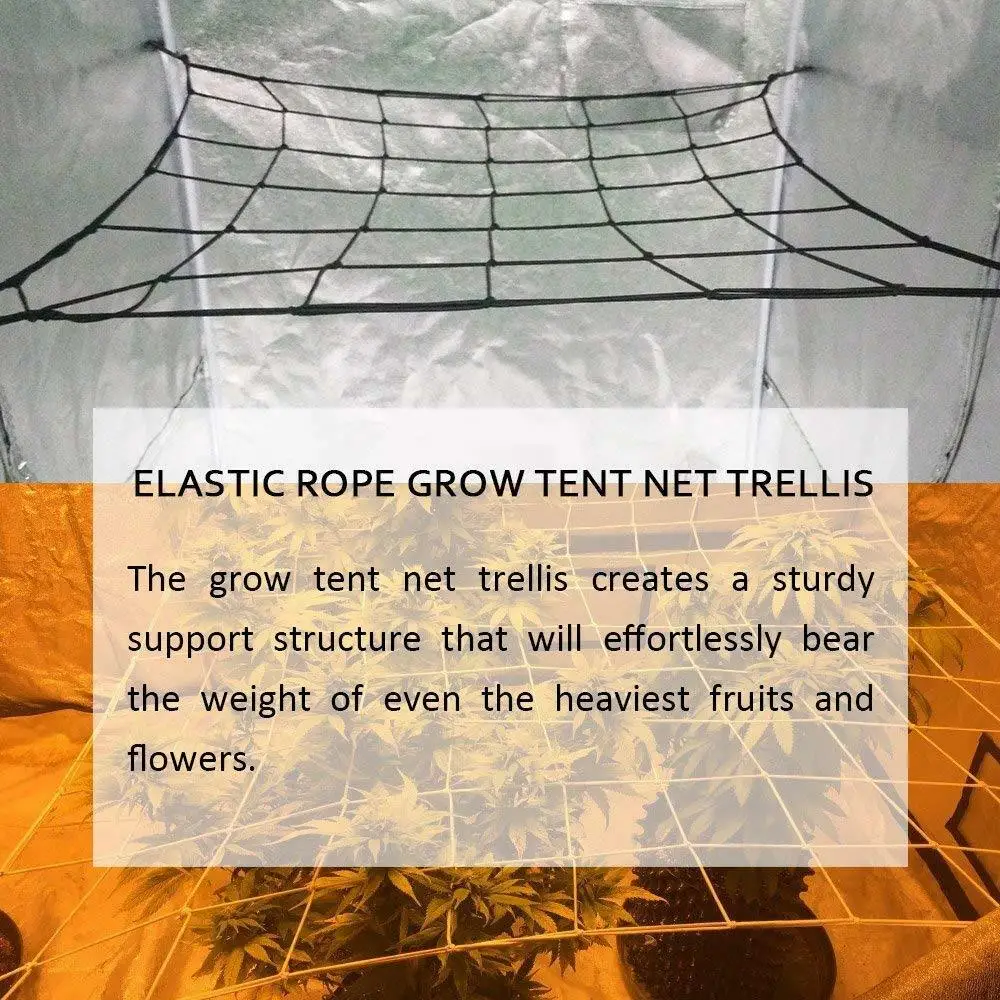 Garden Fence Mesh Grow Tents Bean Trellis Flexible Plant Climbing Steel 4/6 Hooks Home Plant Knitting Elastic Netting Farm