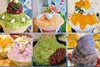 Best Price 110V 220V Bingsu Shaved Machine Electric Snow Cone Ice Shaver Maker Shaved Snow Flake Machine 2