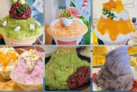 Best Price 110V 220V Bingsu Shaved Machine Electric Snow Cone Ice Shaver Maker Shaved Snow Flake Machine 2