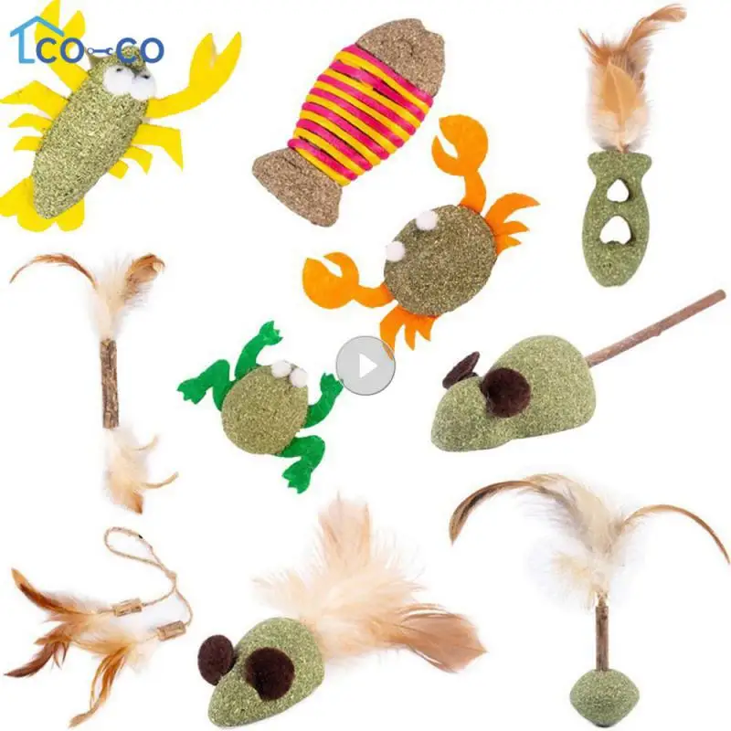 

Pet Catnip Toys Edible Catnip Ball Healthy Cat Mint Cats Household Chasing Game Toy Products Cleaning Teeth Pet Toy Supplies