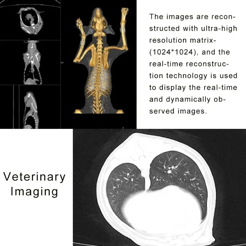 Рисунок 6 - Ветеринарное медицинское радиологическое