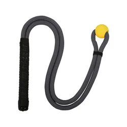 Golf Swing Trainer Aid with EVA Ball for Posture Correction and Exercise (Black)