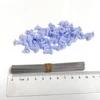 Archery 50Pcs Steel 10cm Darts Needles with Rubber Cap for indoor outdoor .40 Caliber Blowpipe Fuel Equipment 3
