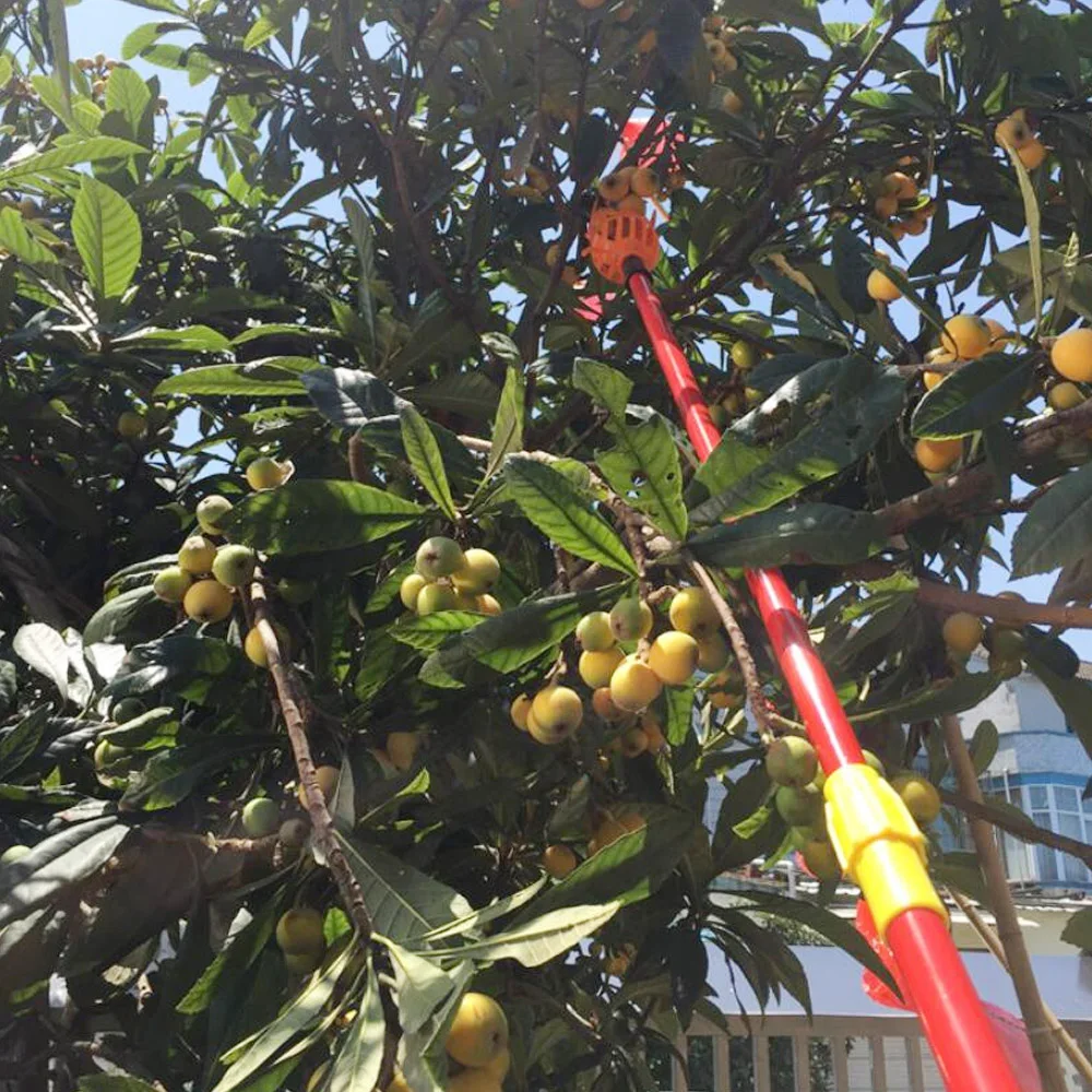 Outil De Cueillette De Fruits Avec Manche Télescopique En Acier