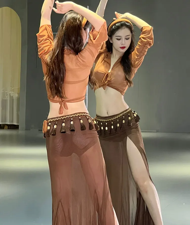 

Belly Dance Autumn and Winter New Long Sleeve V-Neck Sexy Fishtail Skirt Training Suit Oriental Dance Beginner Dance Suit