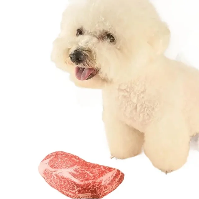 Simulation Squeaky Steak Dog Chew Toy Bite-Resistant Soft Carrot Animal Shaped Puppy Training Chewable Pet Supplies 4