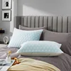 WQSPRING Aloe Pillow, Set Of 2 Cooling Zippered Breathable Bed Pillow For Sleeping, Reversible, Adjustable Cube Pillow For Hot S 1