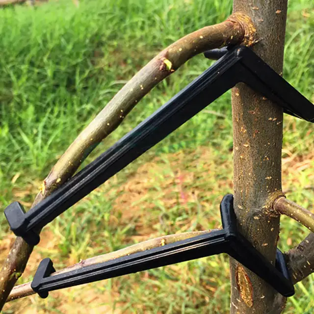 25 Pcs Gyümölcsfa Ág Végtag Szóró Erősen Terjedő Lábszögek Ágak Bonsai Csomagtartók Modellező Eszköz - Image 4