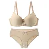 2023New Sexy Bras Set 34/75 36/80 38/85 40/90 42/95 BC Cup Brassiere Panties Push Up Underwear Plus Size Lingerie