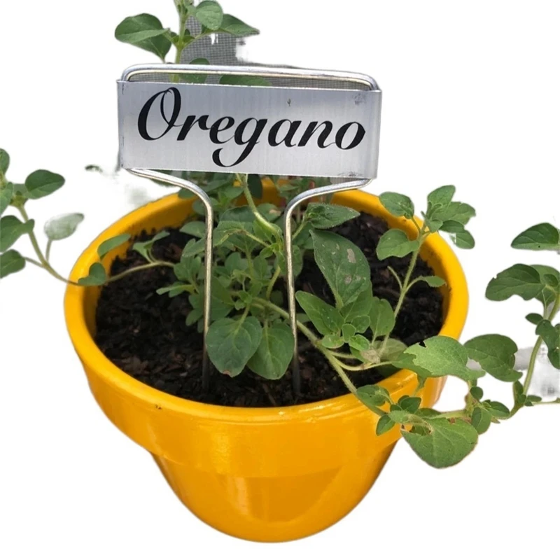 Slide image 864de1648d56400f8675c50c263787e3