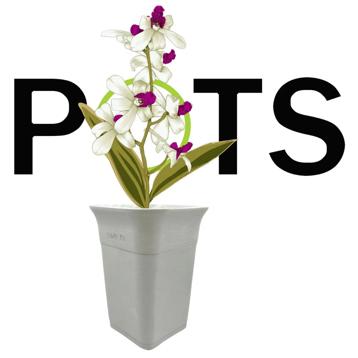 

SIMPOTS Plant Pot White WX10CM SquareCup Flower Planters Decorative Planters For Plants Low Price ECO Friendly