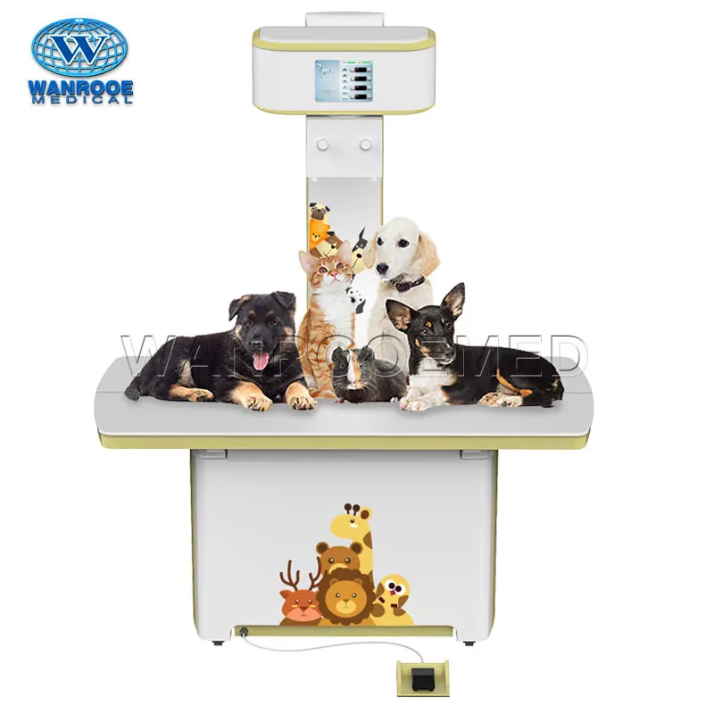 Рисунок 4 - Ветеринарный высокочастотный панорамный