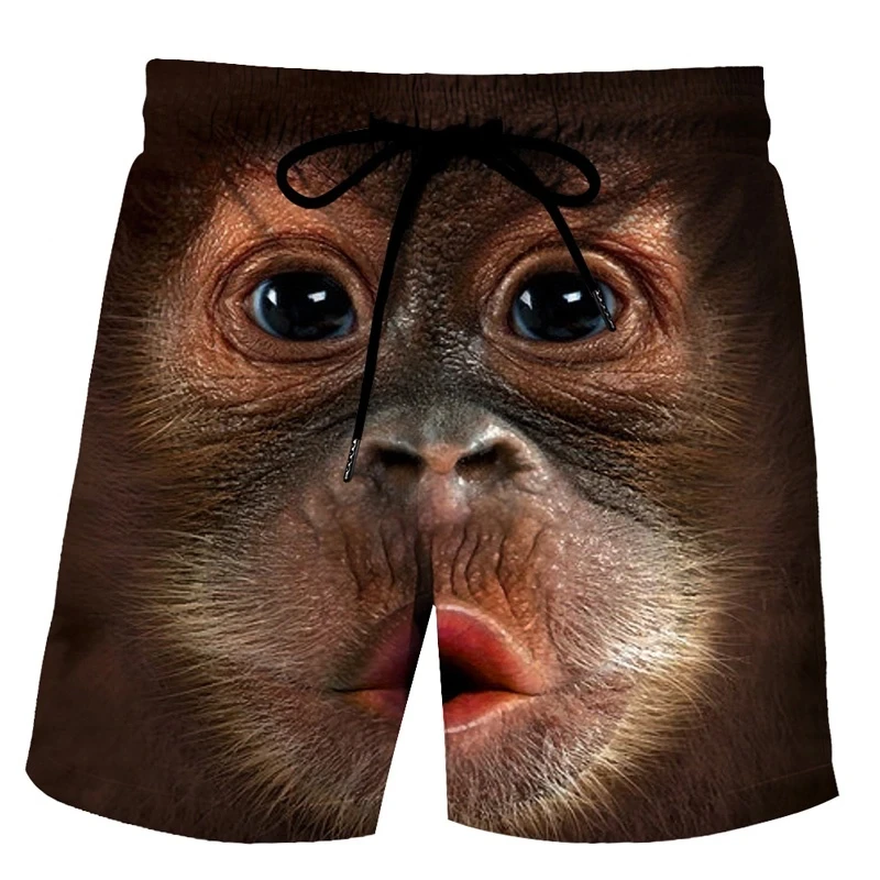 Été drôle singe gorille Shorts de plage Animal impression 3D maillot de bain hommes décontracté conseil Shorts mâle pantalons courts homme maillot de bain