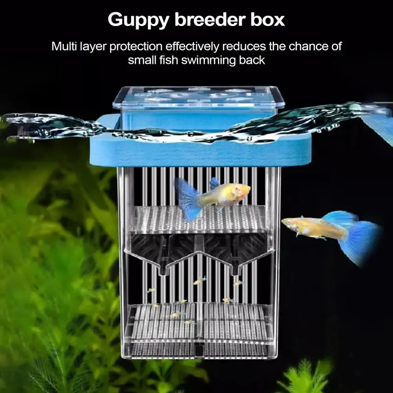 Aquarium Fish Breeder Box Clear Guppy Fish Tank Breeder Case Tank Divider Acclimation Case Mother Incubator For Shrimp