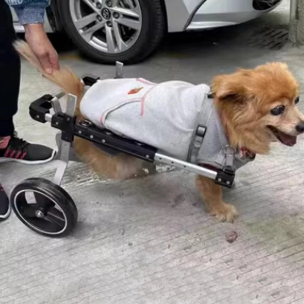 Dog And Cat Hind Leg Wheelchair Adjustable Dog Hind Leg Wheelchair  Disabled Pet Walker With Hind Leg Support And Hip Support