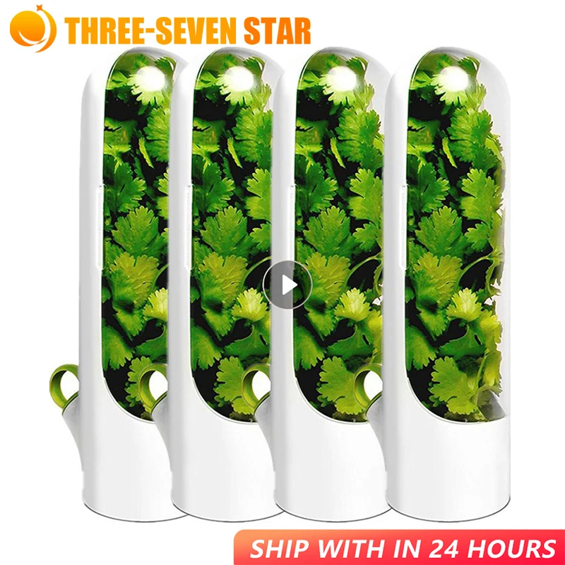 

Herb Storage Container Keeps Fresh-keeping Lids Saver Greens Vegetables Fresh Premiums Clear Spice Fridge Preserver Storages