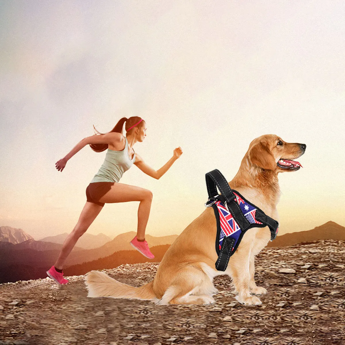 Husky Big Dogs Products Nylon Heavy Duty Dog Carrier Collar Adjustable