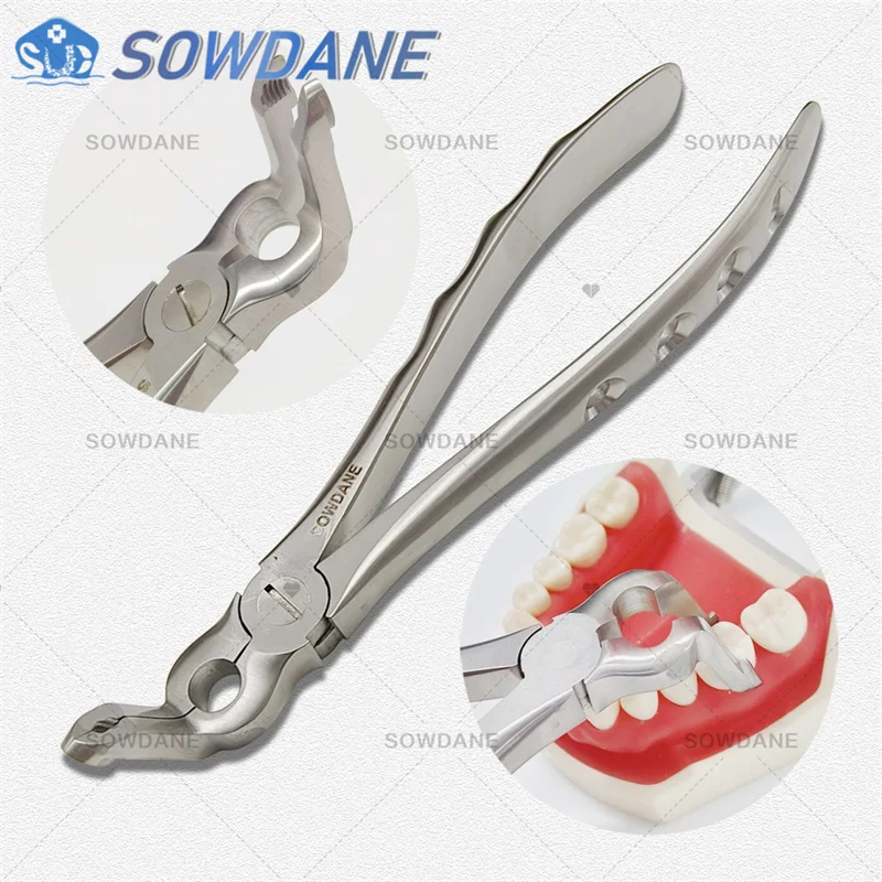 歯科用鉗子 根断片 最小侵襲的抜歯鉗子 歯科用親知らず鉗子 歯科手術